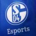 Schalke 04 LCS Slotunu Sattı!