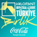 Valorant Türkiye Ligi Sponsoru : Coca Cola