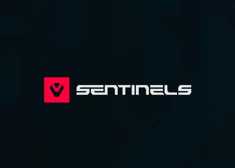 Sentinels’inYeni Kadrosu!
