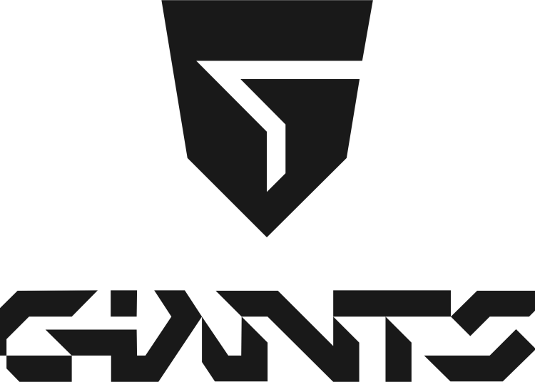 Giants 2023 VALORANT Kadrosu!